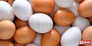 බිත්තර මිලෙහි වෙනසක්