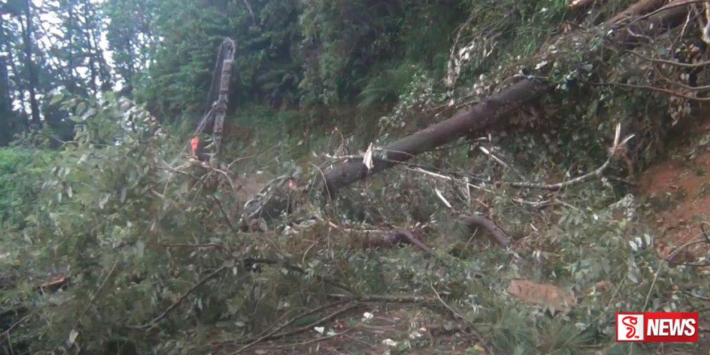 ගිනිගත්හේන – නෝර්ටන් බ්රිජ් ගමනාගමන කටයුතු සම්පූර්ණයෙන් ඇනහිටියි