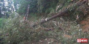 ගිනිගත්හේන – නෝර්ටන් බ්රිජ් ගමනාගමන කටයුතු සම්පූර්ණයෙන් ඇනහිටියි