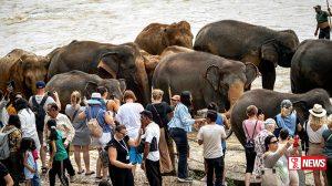 ජනවාරි – අප්රේල් සංචාරක ආදායම ඉහළට