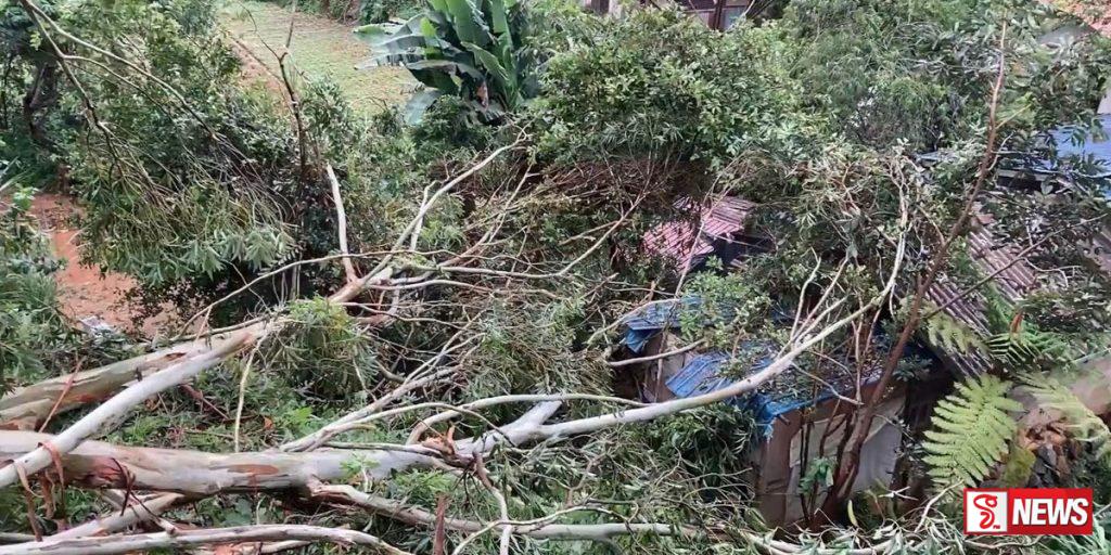 නිවසක් මතට ගසක් කඩා වැටෙයි