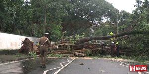 වැස්සෙන් සහ සුළඟින් කොළඹ කැළඹෙයි – පහක් රෝහලට වැස්සෙන් සහ සුළඟින් කොළඹ කැළඹෙයි - පහක් රෝහලට