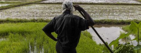 වර්ෂාවෙන් හානි වූ වගාවන් සඳහා වන්දි