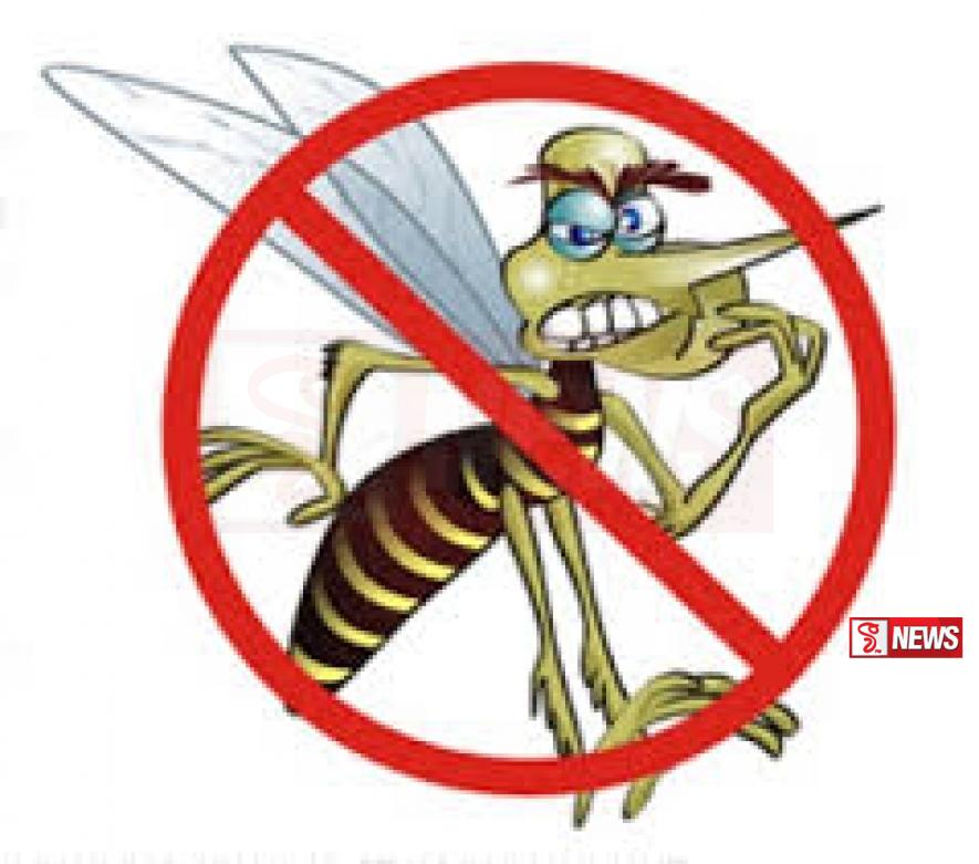 ඩෙංගු මර්දන සතියක් – මරණ 14ක් – රෝගීන් 26,000 පනී