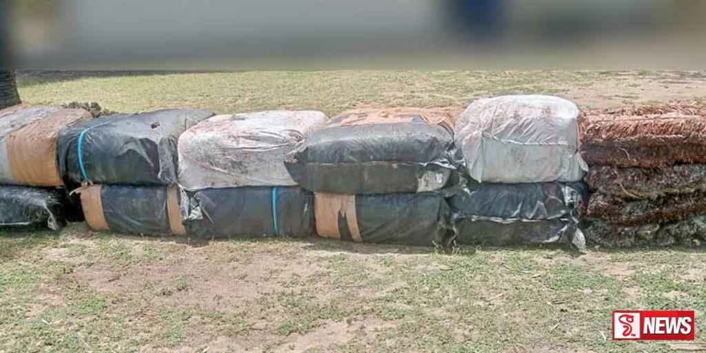 හොරෙන් ගෙන්වූ බීඩි කොළ කිලෝ 1300ක් මාට්ටුවෙයි