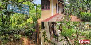 මාර ගස් දෙකක් දවස් දෙකකට පාසලක් වසයි