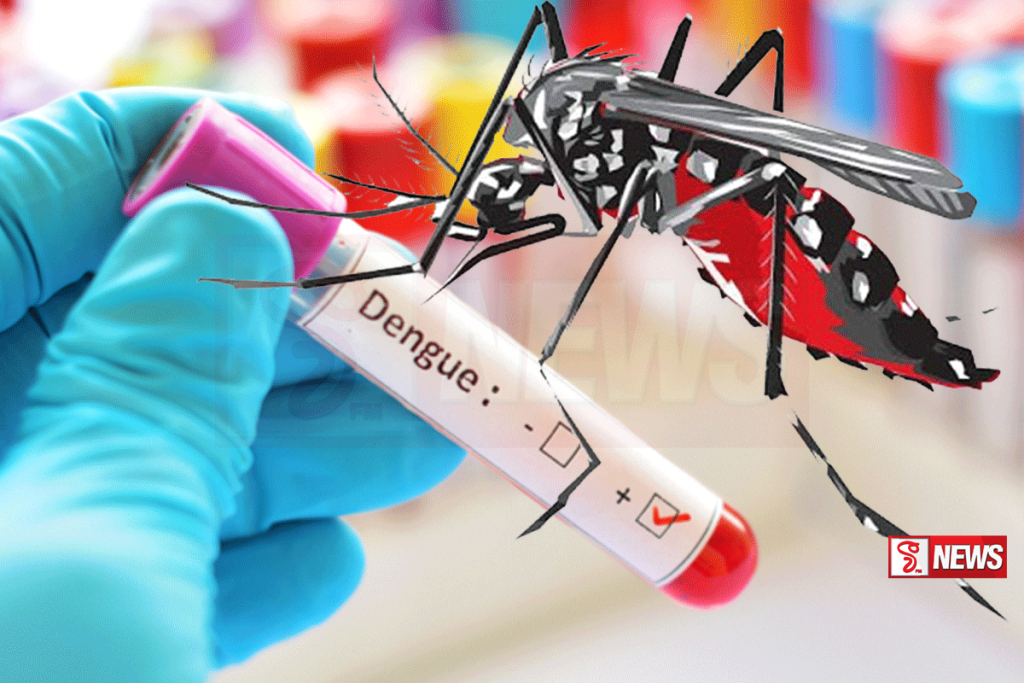 ඩෙංගු රෝගීන් 25,055ක් – මරණ 13ක් මේ වසරේ