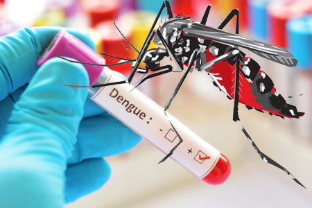 ඩෙංගු රෝගීන් 25,055ක් – මරණ 13ක් මේ වසරේ
