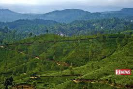 සංචාරක ව්යාපෘති වෙනුවෙන් ඉඩම් අක්කර 3000ක්