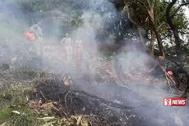 ඉන්දියාවේ හෙලිකොප්ටරයක් කඩා වැටී පුද්ගලයින් 7 දෙනෙකු මරුට