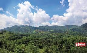 සිංහරාජය හරහා පාරක් ඉදිකිරීමට එරෙහි පෙත්සම විභාගයට අභියාචනාධිකරණයෙන් අවසර