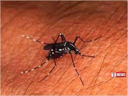 හෙට සිට විශේෂ ඩෙංගු මර්දන වැඩසටහනක්