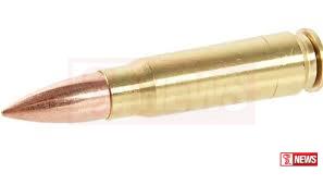 ගුවන් මගියෙකුගේ ගමන් මල්ලේ ජීව උණ්ඩයක්