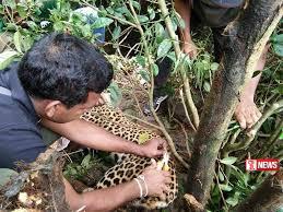 වනජීවී සහකාරවරුන්ට පත්වීම්