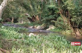 නිල්ගල වනාන්තරය රක්ෂිතයක් ලෙස නම් කෙරේ