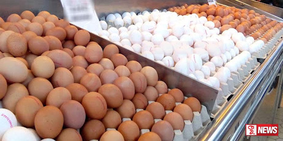 බිත්තර මිල දිනපතා සමාජ මාධ්ය ඔස්සේ