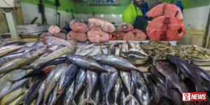 මාළු මිල නිසා හැටන් පාරිභෝගිකයන්ට දවල් තරු පෙනෙයි