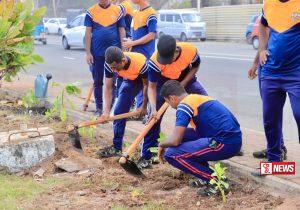 තක්කඩ පැළ” 1600 ක් සිටුවීම අද