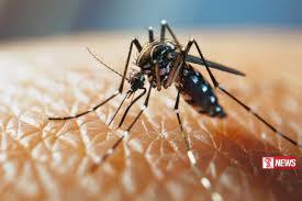 ඩෙංගු සහ චිකන්ගුන්යා වැඩි වීමේ අවධානමක් – සෞඛ්ය අංශයෙන් රතු එලි