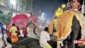 ඊයේ පෙරහැරේ අලි කලබල