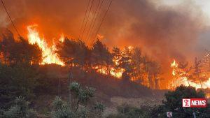 තුර්කියේ ලැව් ගිනි