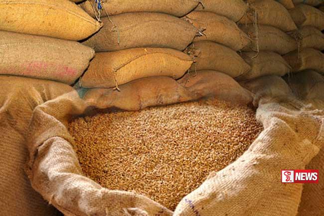 වී මිලදී ගැනීම හෙට (03) සිට – වී අලෙවි මණ්ඩලය