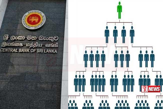 තහනම් පිරමීඩ යෝජනා ක්රම ගැන ජනතාව දැනුම්වත් කිරීම අද සිට