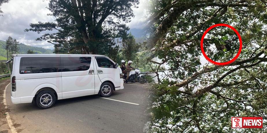 ඉන්දියානුවන් පිරිසක් රැගෙන ගිය වෑන් රියදුරුට බඹර ප්රහාරයක්