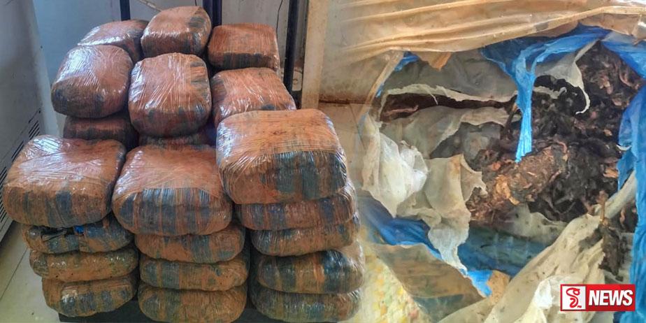 මිලියන විස්සක් වටින කංසා තොගයක් අල්ලයි