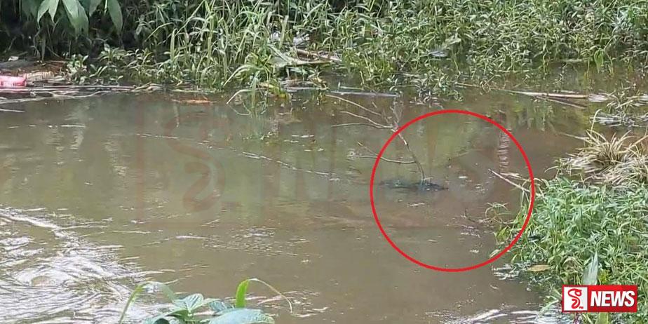 ඇළට වැටුණු සිව්හැවිරිදි දැරියගේ සිරුර ඩෙවෝන් ඇලෙන් හමුවෙයි