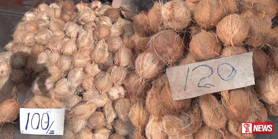 පොල් මිලට පහළට – අලෙවිය ඉහළට