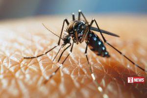 මේ තැන් දැක්කොත් ! වහාම කෝල් කරන්න …