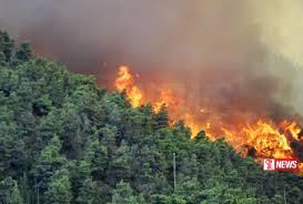 වැල්ලවාය කඳු රක්ෂිතයේ ගින්න පාලනය කරයි