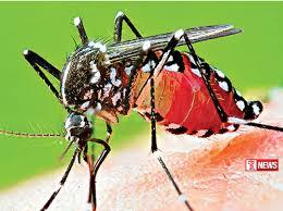 ජාතික මදුරු මර්දන සතියේ තෙවන දිනය අදයි