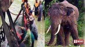 භාතිය හස්තියා අවසන් ගමන් යයි