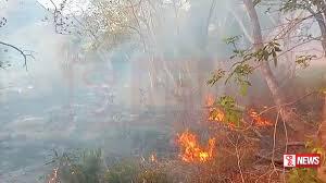 රන්දෙණිය රක්ෂිතයේ හට ගත් ගින්න පාලනය කරයි