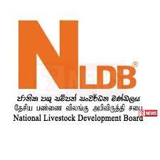 NLDB දියරකිරි නිෂ්පාදනය යළිත් අරඹයි
