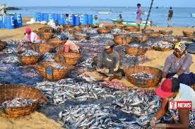 මාලු අල්ලන්න කිමිදෙන ධීවරයින්ටත් රක්ෂණයක්