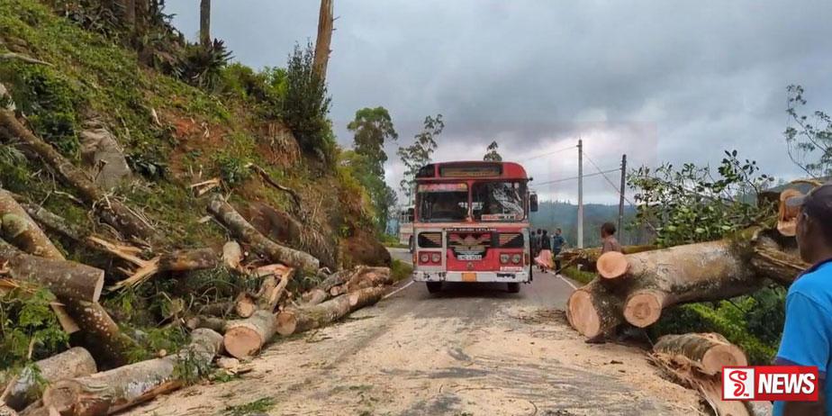 කඩා වැටුණු ගස පැය පහකට පසු ඉවත් කරයි…