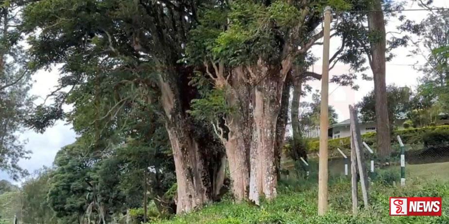 මහ විපතක් වෙන්න කලින් අවධානය යොමු කරන්න