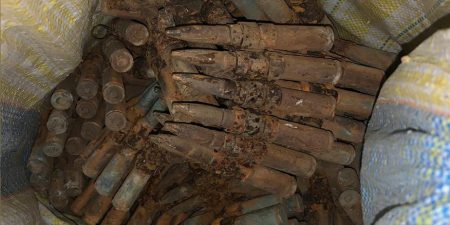 කොඩිකාමම් ළිඳකින් පතුරම් 1393 ක් හමුවෙයි