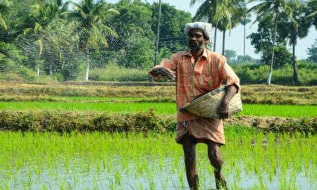 පොහොර සහනාධාරයට QR කේතයක් ලබා දීමට කැබිනට් අනුමැතිය