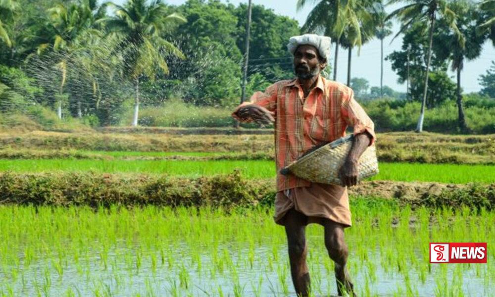 පොහොර සහනාධාරයට QR කේතයක් ලබා දීමට කැබිනට් අනුමැතිය