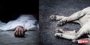 කරමැටියේ කදුළු කතාවක්