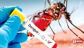 ඩෙංගු සහ චිකුන්ගුන්යා යළි ව්යාප්ත වීමේ අවදානමක්