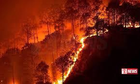 වනාන්තර ගිනි තබන්නන්ට එරෙහිව නීතිය දැඩිව