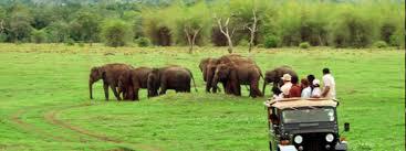 වනෝද්යාන බැලීමට ප්රවේශ පත්ර ඔන්ලයින් ක්රමයට