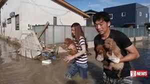 ජපානයේ ප්රදේශ කිහිපයකට ගංවතුර තත්වයක්