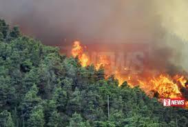 පූඩුල්ල කන්ද රක්ෂිතයේ ගින්න පාලනය කරයි