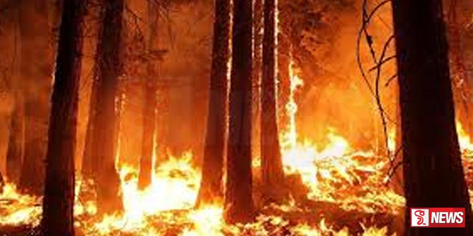 යුරෝපයේ සංස්කෘතික උරුමයන්ට හානි